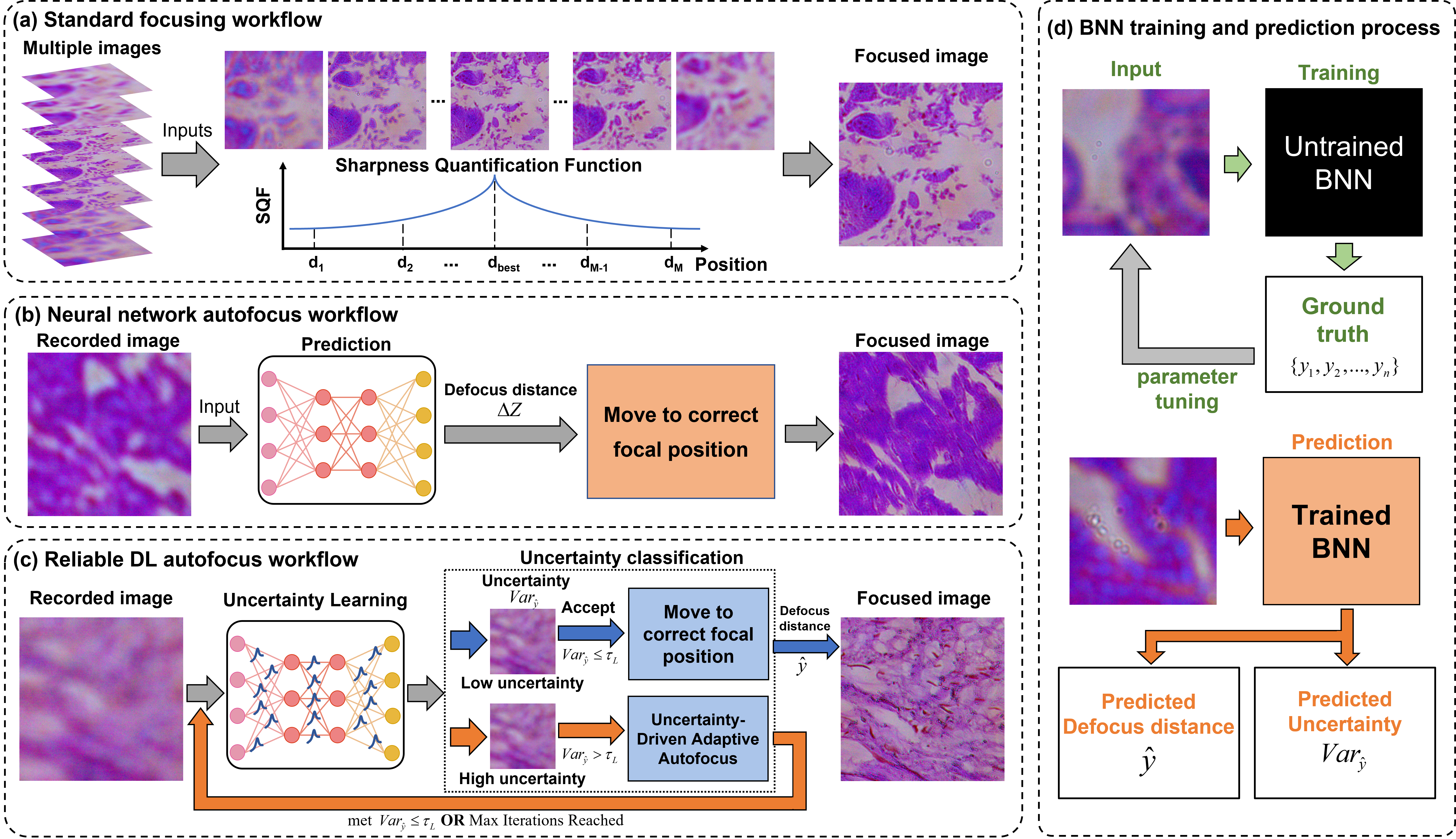 Focus Prediction and Uncertainty Modeling with Deep Learning